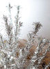 Amazing 1960s 6' Evergleam Aluminum Christmas Tree w/ Pom-Pom Ends
