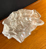 Unusual & Beautiful Frosted Glass "Fossil" Dish