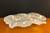 Unusual & Beautiful Frosted Glass "Fossil" Dish