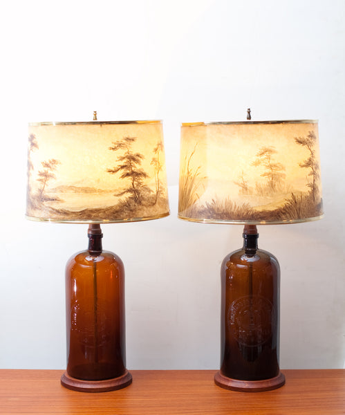 Unique Vintage Pair of Antique Laboratory Bottle Lamps w/ Hand Painted Shades