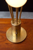 Gorgeous 1970s Lucite & Brass Table Lamp, Rougier Style