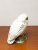 Adorable Little German Porcelain Owl w/ Glass Eyes