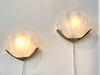 Gorgeous Pair of Frosted Glass and Brass Shell Wall Sconce Lights