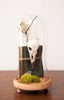 Lovely Eurasian Crow Skull w/ Antique Book & Crystal in Dome