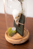 Lovely Eurasian Crow Skull w/ Antique Book & Crystal in Dome