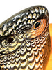 Fabulous Op-Art Lucite Owl by Abraham Palatnik, Made in Brazil circa 1960s