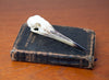 Javan Pond Heron Skull on Antique Pocket Size New Testament Bible