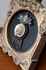 Adorable Fruit Bat Skull w/ Reclaimed Antique Mirrored Brooch & Frame