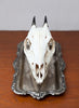 Gorgeous & Rare Skull of African Blue Duiker on Vintage Silver Tray