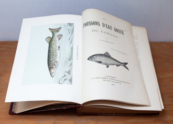 Beautiful Antique French Book on Canadian Fish, with Colour Plates