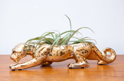 Fabulous 1950s Gold Panther Planter w/ Live Air Plant