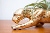 Fabulous 1950s Gold Panther Planter w/ Live Air Plant