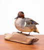 Lovely Vintage Taxidermy Green Winged Teal Duck, Cleaned & Restored