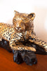 Incredible 1970s Extra Large Gold & Black Leopard/Jaguar